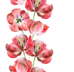 Seamless border of tulips