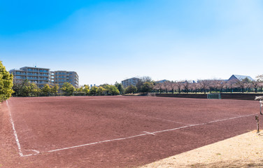 桜が咲くグラウンド