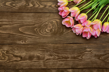 Spring tulip flowers over wooden background. Pink tulips.