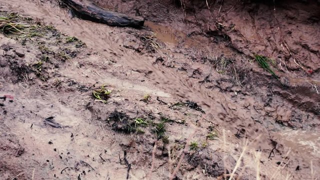 Mudflow. Slow motion