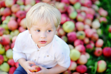 Fototapeta na wymiar Cute toddler boy eating ripe apple in garden