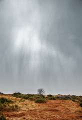 Moody clouds up north
