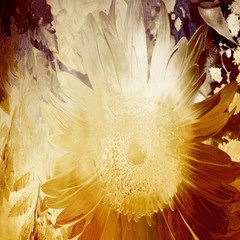 Vintage paper texture background with flower shape. - 143303991