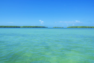 Florida Keys bay