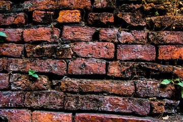 Naklejka premium Brick wall background