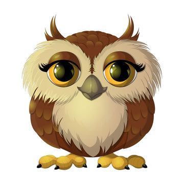 Pretty brown owl