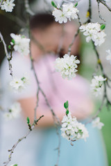 Blüten des Kirschbaums mit verliebten Paar im Hintergrund