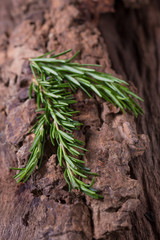 rosemary Herbs and Medicinal herbs. Organic healing herbs. fresh rosemary bunch rosemary on wooden background