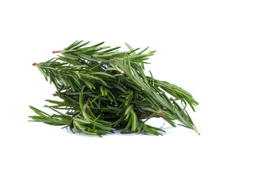 rosemary Herbs and Medicinal herbs. Organic healing herbs. fresh rosemary bunch rosemary isolated on white background