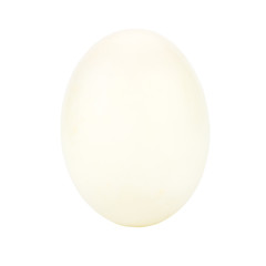 White egg isolated on white background