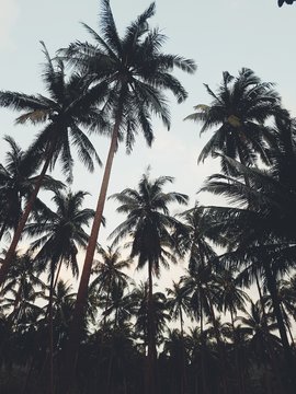 Processed with VSCO with f2 preset