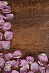 pink rose petals making a border