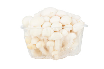 White shimeji mushrooms in box on white background