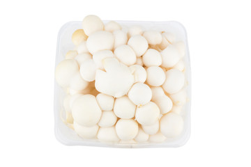 White shimeji mushrooms in box on white background