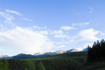 春のカナディアン・ロッキー　ミエッテ・ロード（ミエッテ温泉への道）沿いの景色（カナダ・ジャスパー）