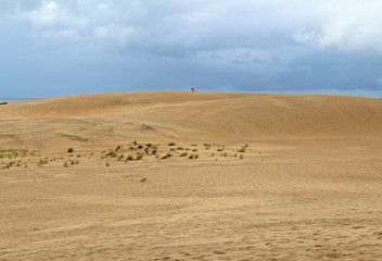 Red fox and unidentifiable people at Jockeys Ridge State Park, Nags Head, NC