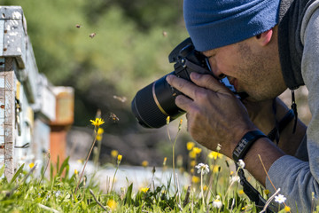 Phonographer takes bee photos
