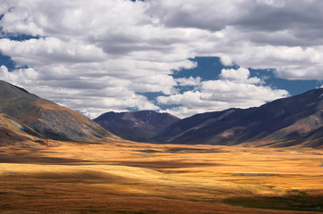 Desert wild mountain plateau with the orange yellow dry grass at the background of the hills under a blue sky with white clouds, Plateau Ukok, Altai, Siberia, Russia
