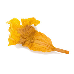 Fototapeta premium yellow flower dried isolated on white background