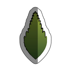 cute leafs decorative icon vector illustration design