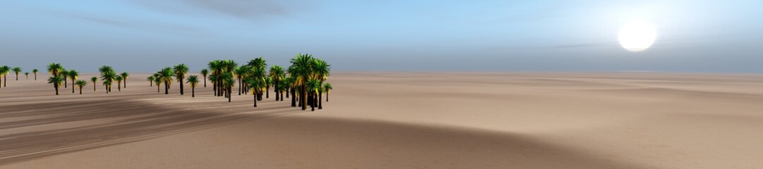 Fototapeta na wymiar Panorama of the desert 