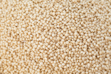 Amaranth seeds (Amaranthus)