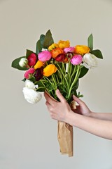 Ranunculus flower bouquet in the hand on the white background