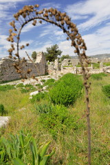 Fototapeta na wymiar Byzantine basilica built over an earlier Roman temple. Xanthos-Lycia-Turkey. 1250