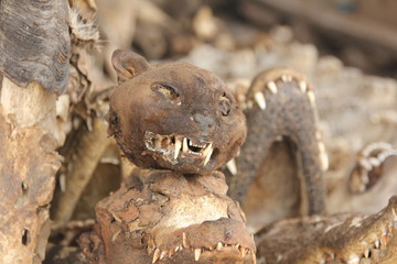 Animal´s Skulls and Voodoo paraphernalia, Akodessawa Fetish Market, Lomé, Togo / This market is located in Lomé, the capital of Togo in West Africa and is is largest voodoo market in the world. 