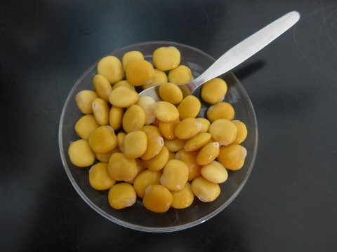 Lupinen Bohnen (Lupinus albus) Tremocos, ein gesunder Snack

