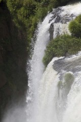 Water Falls, Iguazu, Misiones, Argentina 