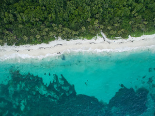 Recif de corail et lagon sur une ile de la Caraibe, Martinique 