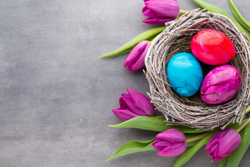 Spring greeting card. Easter eggs in the nest. Spring flowers tulips.