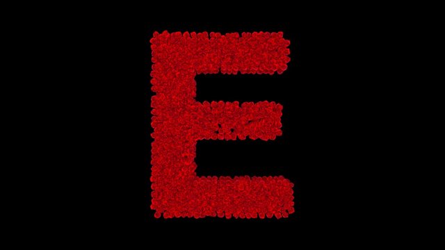 Letter E made of red roses with alpha channel