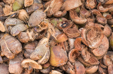 Pile of coconuts in Goa, India, on a sunny day