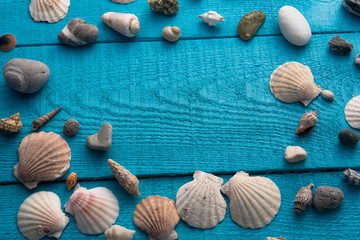 Seashells on a blue wooden background