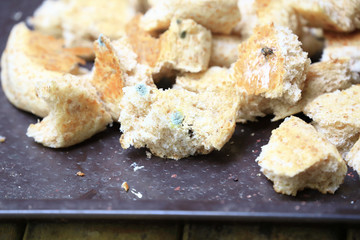 Moldy bread, expired can not eat any more.