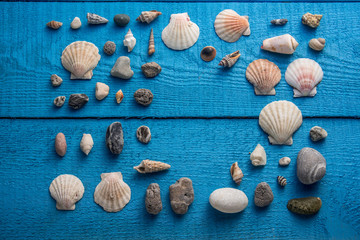 Seashells on a blue wooden background