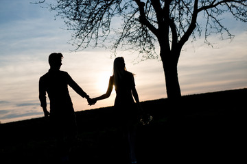 Fototapeta na wymiar Verliebtes Paar schaut in Sonnenuntergang mit Baum als Silhoutte