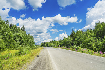 Beautiful summer landscape with road