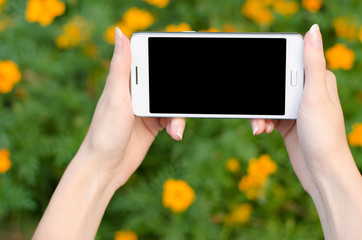 close up white mobile phone in fashionable trendy woman hands on the background of green grass with flowers during an exercise break