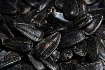 Black sunflower seeds macro - selective focus