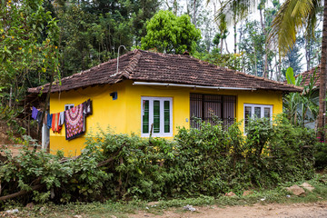 Fototapeta na wymiar Indien - Kerala - Tholpetty