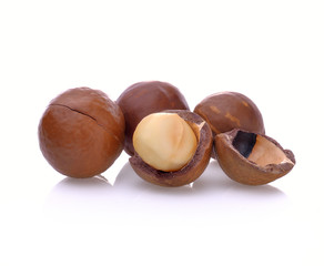 Macadamia nut on white background