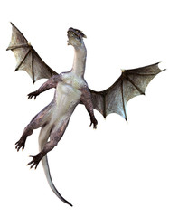 great and powerful flying dragon. It spread its wings and goes up