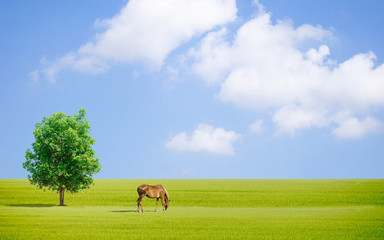 Tree Grassy sky and horse of Earth day Ecology concept 