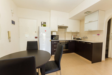 Modern Kitchen in Wenge and White colors