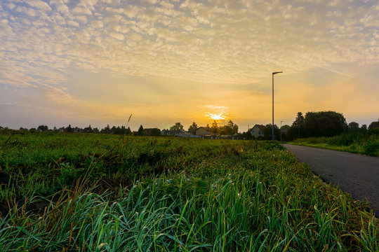 Sunrise over a wet field