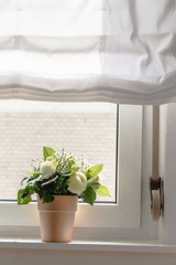 Bouquet of Flowers on a Window Sill
