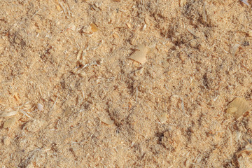 Sun-illuminated wood sawdust of yellow color